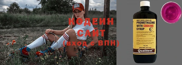 прущий лед Карпинск