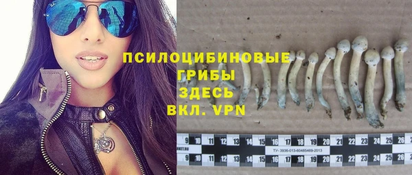 прущая мука Касимов