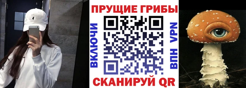 Псилоцибиновые грибы Magic Shrooms  Купить где  Пошехонье 